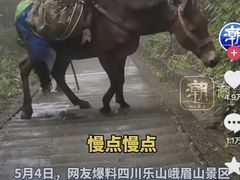 -峨眉山风景名胜区