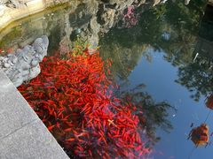 -红螺寺