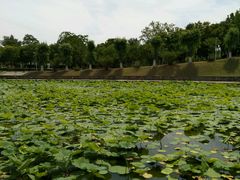 景点-青龙湖公园