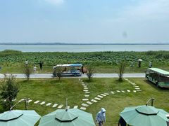 -七的湖·晚芳亭·阳澄湖农家菜·大闸蟹(莲花岛店)