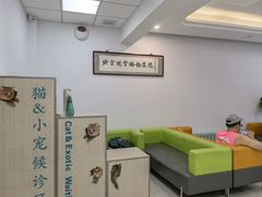 -北京观赏动物医院·24小时大型综合·猫专科·异宠专科
