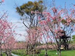 -福建鲤鱼洲酒店
