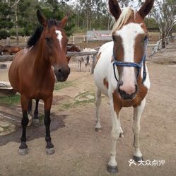 老总骑漂亮马_漂亮女生照片(2)