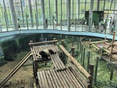 -大连森林动物园