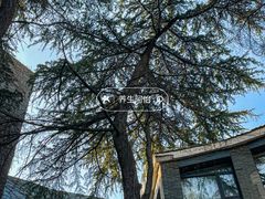 -福田家月子中心 产后 月嫂(市立母子医院店)