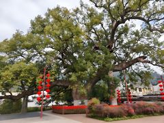 -新安江山水画廊风景区