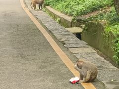 -黔灵山公园