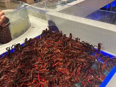-藜爱·山海情海鲜自助(万达广场店)