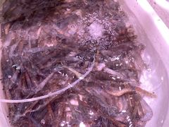 -三江购物(锦诚店)