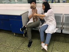 -成都民大动物医院
