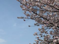-蠡湖大桥公园