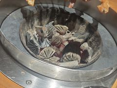 -炭窑水浒烤肉(汉阳鹦鹉巷子店)