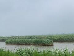 -红海滩国家风景廊道