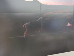 -DJI大疆(福州万象城授权体验店)