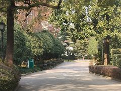 -上海虹桥迎宾馆