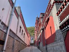 -塔尔寺游客服务中心