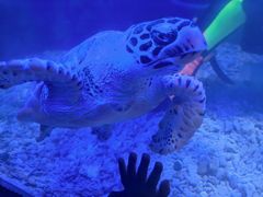 -太平洋海底世界