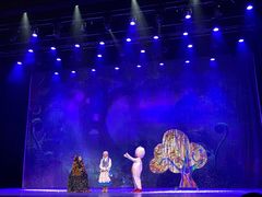 -顺德演艺中心大剧院