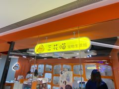 -三花喵·撸猫购宠·宠物生活馆(虹桥南丰城店)