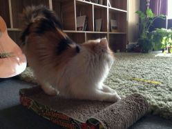 -梵初·STUDIO婚纱摄影(通州万达店)