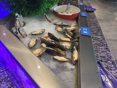 -梅园国际大酒店·自助餐厅(光明港店)