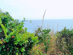 -三亚蜈支洲岛旅游区