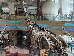 -安徽省地质博物馆