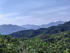 -北京西山国家森林公园