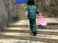 -广州融创文旅城
