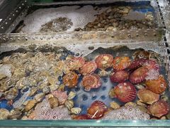 -亚马逊海鲜自助(梅溪湖步步高店)