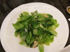 -金碧轩粤菜海鲜大酒楼
