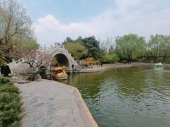 -团结湖公园