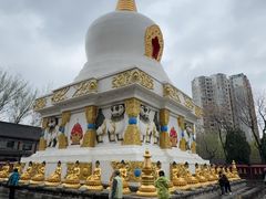 -护国法轮寺