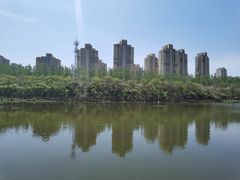 -前关湿地公园