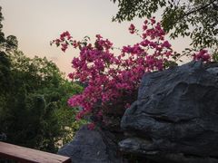 -荔湾湖公园