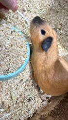 -Zoolung Zoolung动物主题公园(海信广场店)