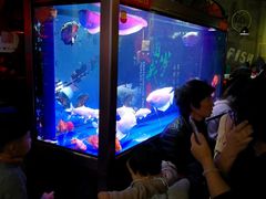 -百岁我家酸菜鱼(龙湾万达店)