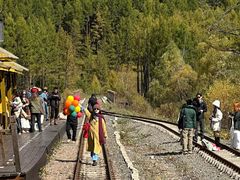 -莫尔道嘎国家森林公园