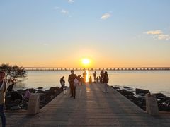 -宝安西湾红树林湿地公园