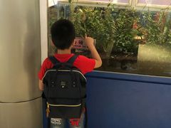 -上海昆虫博物馆