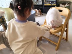 -平行世界·猫咖(首经贸店)
