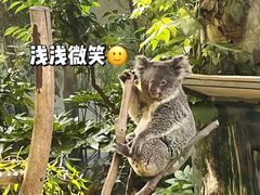 -红山森林动物园