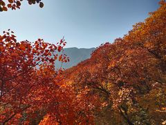 -周口店坡峰岭风景区