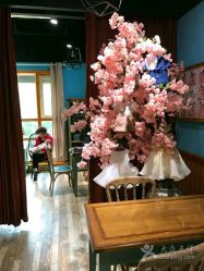 点击看大图 -星豆豆儿童摄影(南郊太白南路店)