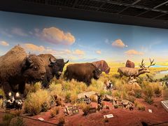 -陕西自然博物馆