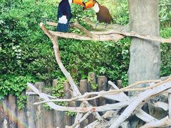 -上海野生动物园