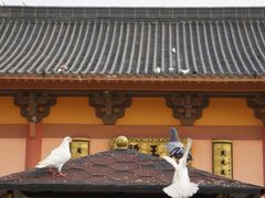 -博鳌禅寺
