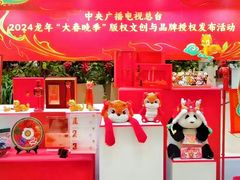 -中央广播电视总台(光华路办公区)