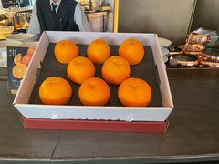 -拾久(朝阳公园店)