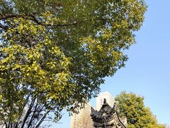 -西安大兴善寺